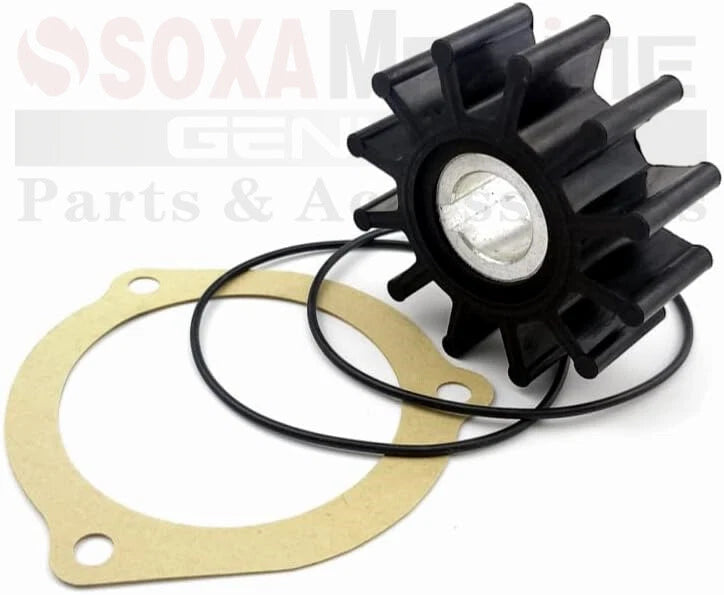 Minor Repair Kit for Sherwood Pump G903, G908, G11 (09000K)