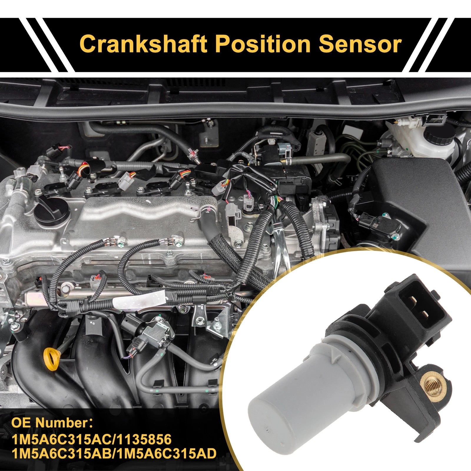 1 Pc Crankshaft Position Sensor No.1M5A6C315AC for Ford Focus (2001–2004)