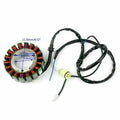Magneto Generator Stator Coil for Kawasaki ZX1200 Ninja ZX-12R (2000–2001)