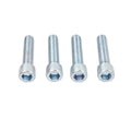 4X Footpeg Passenger Bracket Bolt Screw for Harley Sportster XL883 XL1200 (2004–2023)