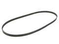 Multi Rib Belt for Suzuki XL7 (2002–2006) WH874FP