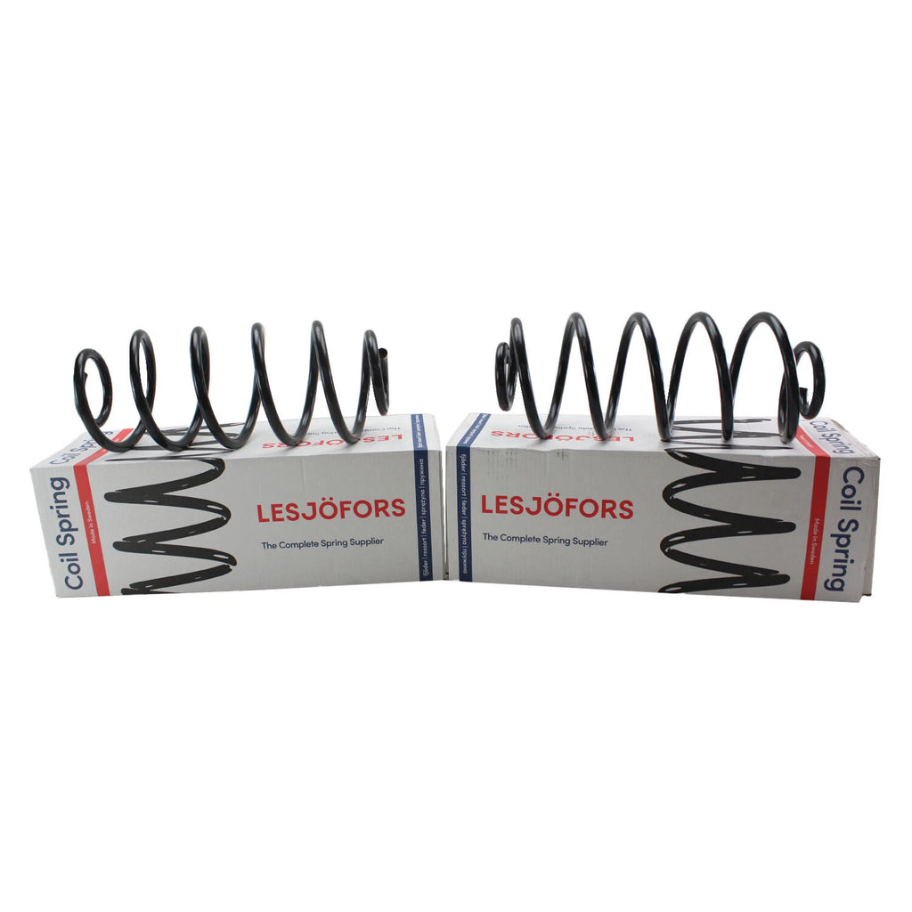 Rear Coil Spring Kit Heavy Duty for Buick Chevy Oldsmobile (4412103)