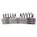 Rear Coil Spring Kit Heavy Duty for Buick Chevy Oldsmobile (4412103)