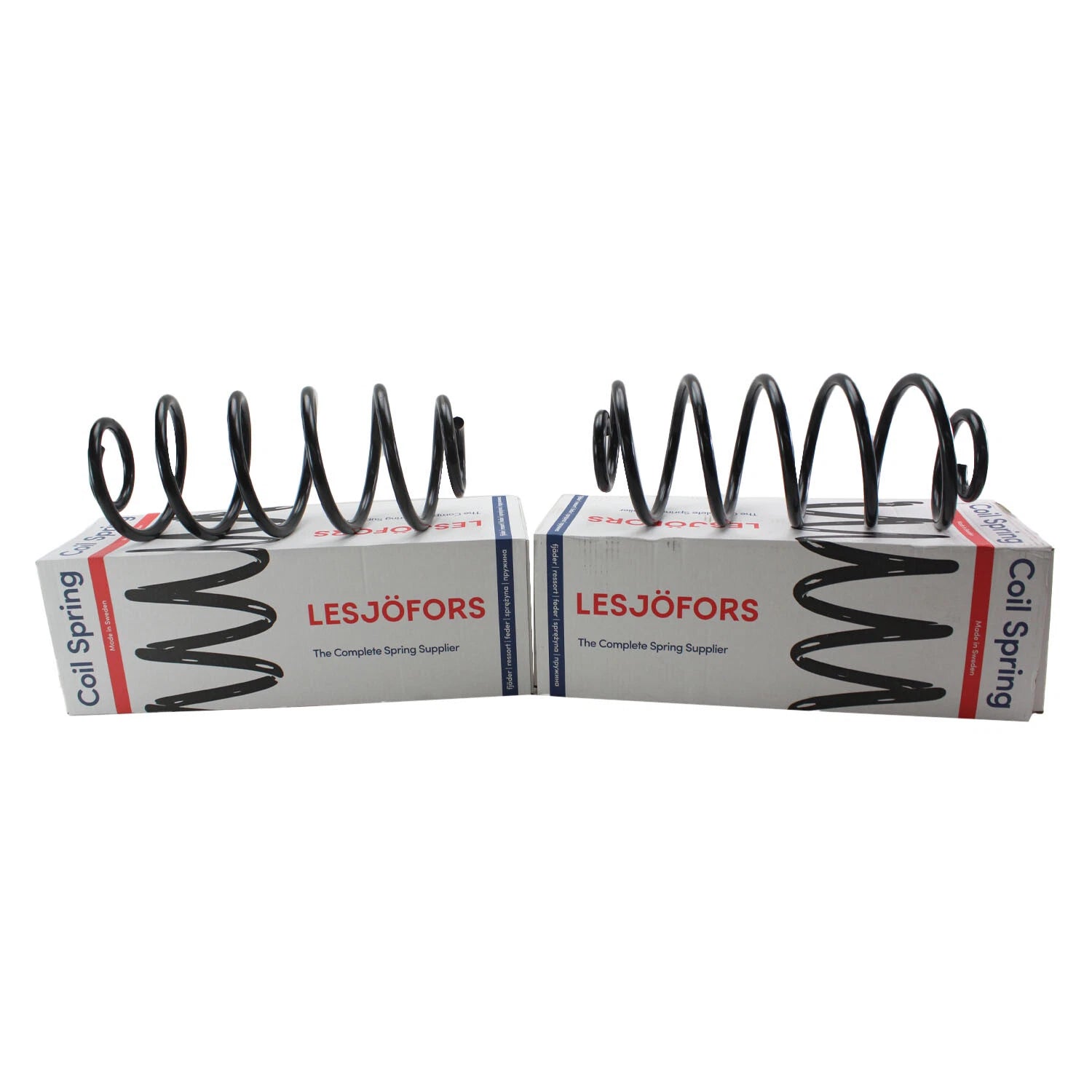 Rear Coil Spring Kit Heavy Duty for Buick Chevy Oldsmobile (4412103)