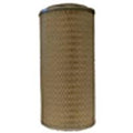 AF1934M Air Filter for Ford