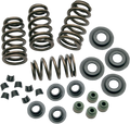 S&S Cycle Valve Spring Kit 0.650" for Harley Twin Cam (88–103)