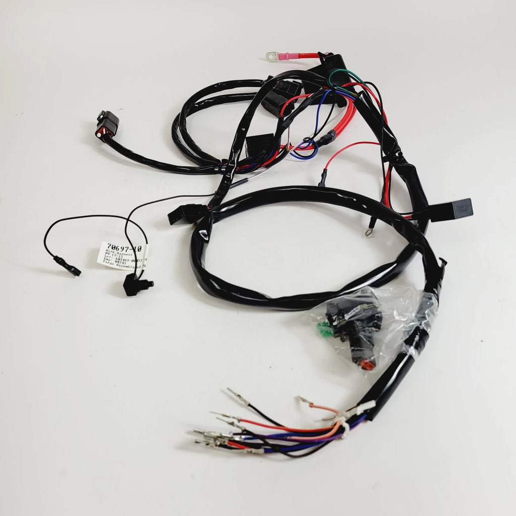 LED Wire Harness for Harley-Davidson Police Tour Pack (70697-10)