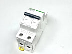 Mini Circuit Breaker iC60L C20 for Schneider Electric A9F94220