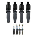 Set of 4 Ignition Coils & Iridium Spark Plugs for C-Max (2013–2019)