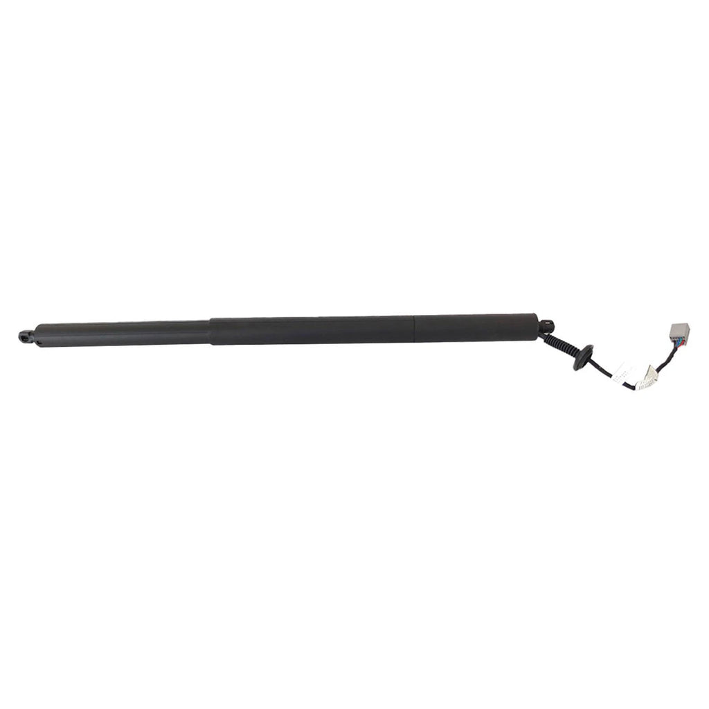 Rear Left Tailgate Lift Support for Ford Escape (2013-2019)