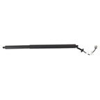Rear Left Tailgate Lift Support for Ford Escape (2013-2019)