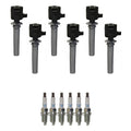 Set of 6 Ignition Coils & NGK Platinum Spark Plugs for Ford Escape (2001–2007)