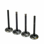Exhaust & Intake Valve Set for EZGO Golf Cart 295cc 350cc (1996–2002)