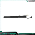 2X Lift Support Gas Spring Strut for BMW X5 F15 F85 (2014–2018) D2818