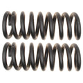 Set of 2 Front Constant Rate Coil Springs for Dodge Ram 1500 RWD (2002–2005) Moog #81186