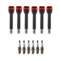 Set of 6 Ignition Coils & U-Groove Spark Plugs for Audi Q5 (2009–2017)