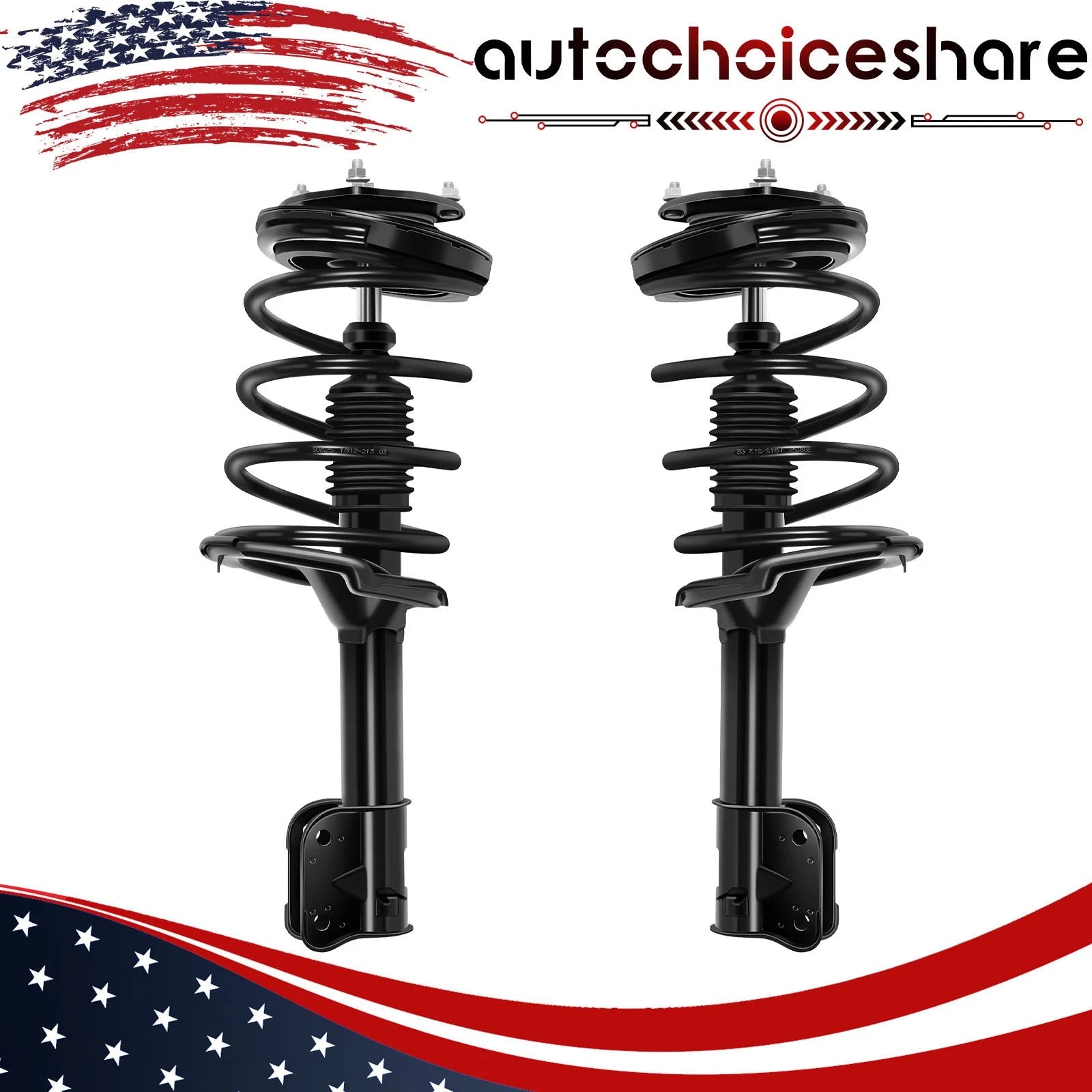 Set of 2 Complete Struts & Coil Spring Assembly for Hyundai Santa Fe (2007–2009)