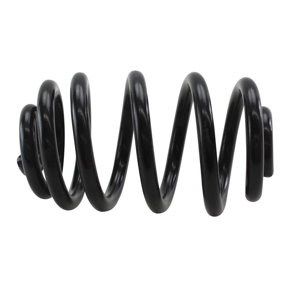 Lesjofors Rear Coil Spring for BMW X3 E83 (2004–2010) 4208450