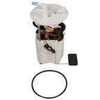 Delphi FG0844 Fuel Pump Module Assembly for Ford Taurus/Mercury Sable (2004–2006)