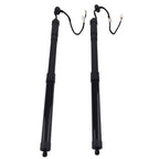 2X Rear Tailgate Gas Struts for Lexus NX300 NX300h (2018–2021)