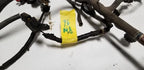 Complete Engine Fuel Harness for Lincoln Mark VIII (1996) 4.6L 4V F6LB-12A522 P260G
