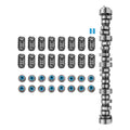 Valve Springs Seals Camshaft Kit for LS Truck 4.8L 5.3L 5.7L 6.0L 6.2L (2000–2023)