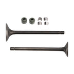 Valve Seal Kit for Honda CG125 (156FMI)