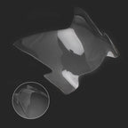 Front Headlight Lens Guard Protector for Suzuki GSX-S 1000 (2017–2021) T9