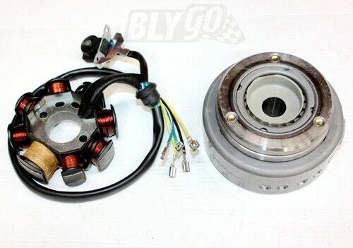 8 Poles Magneto Stator Roller Flywheel for 250cc Engine ATV (PIT Trail Quad)