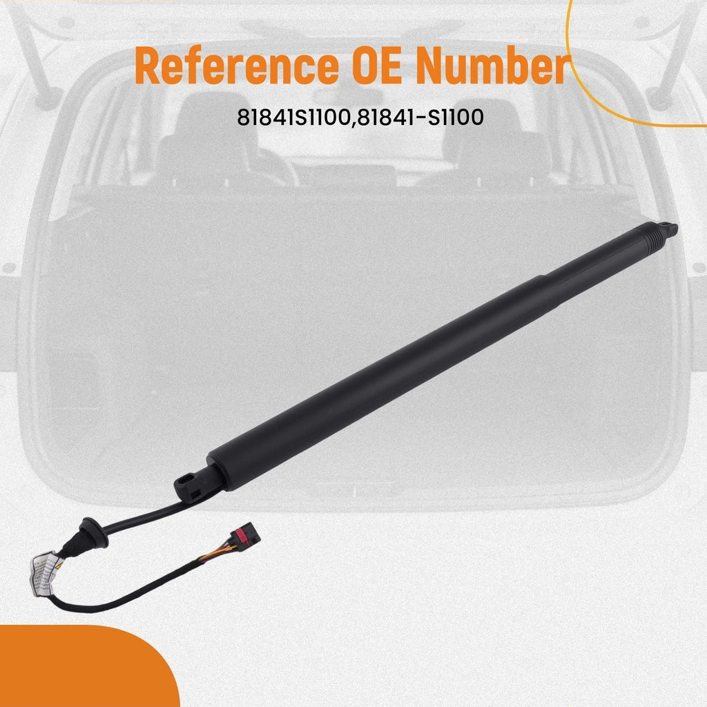 Hatch Lift Support Right Rear for Hyundai Santa Fe (2019–2020) 81841-S1100