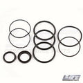 WSM Trim Cylinder Seal Kit for Evinrude / OMC / Volvo (335-115)