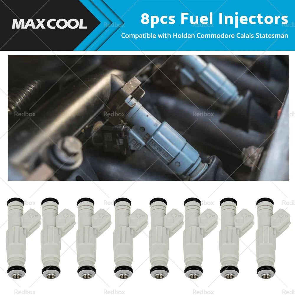 8x Fuel Injector for Holden Commodore VS VT VX VY 3.8L V6 (1995–2004)