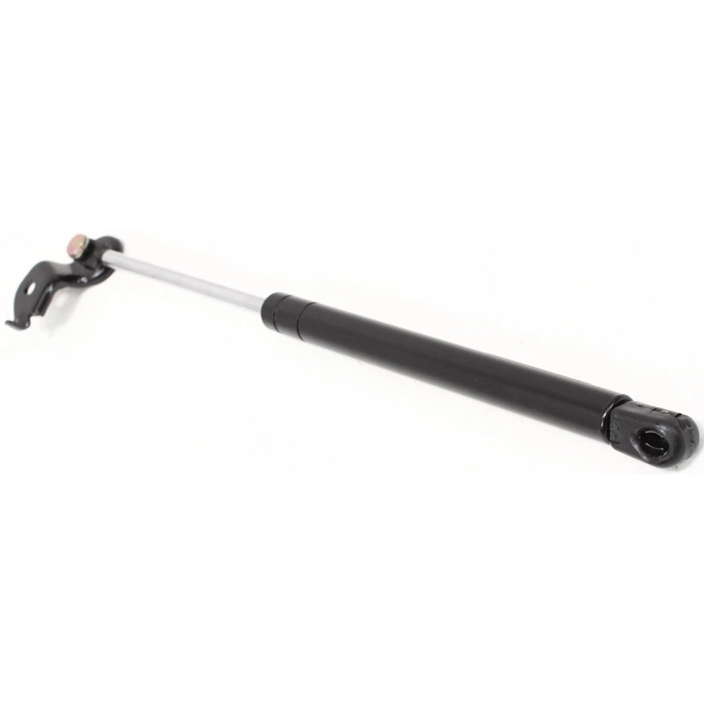 Lift Support for Toyota Avalon (1995–1999)