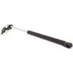 Lift Support for Toyota Avalon (1995–1999)