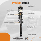 Set of 2 Rear Struts with Coil Spring Assembly for 2004-2008 Acura TSX
