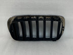 Left Radiator Grille Chrome for BMW X6 (2015–2019) & X5 (2014–2018) 7294485