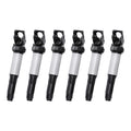6X Ignition Coil + Spark Plug for BMW E46 E53 E60 E83 E90 (1998–2013) 12131712219