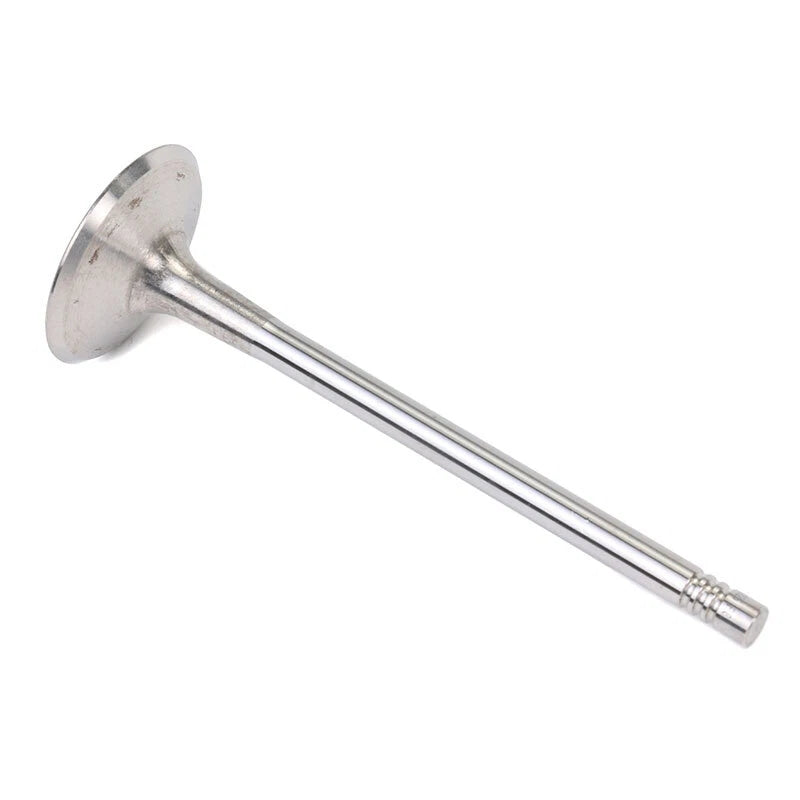 Intake Valve for TRW (331125)