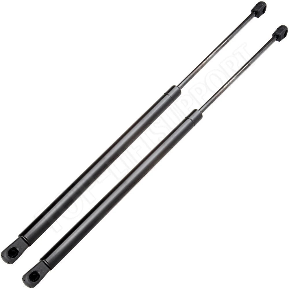 2 Liftgate & Window Lift Supports for Hyundai Santa (2001–2006)