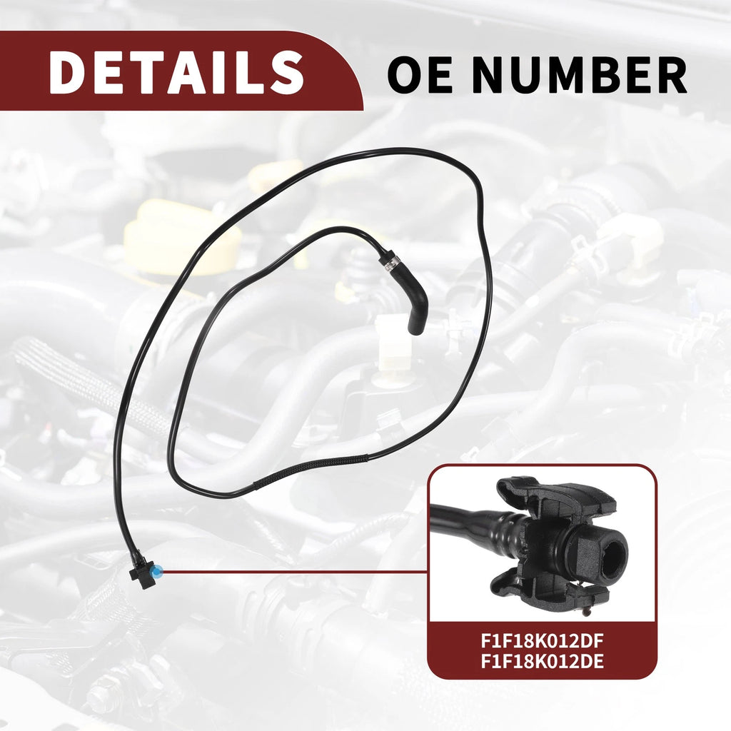 Coolant Overflow Bottle Hose for Ford C-Max (2015–2019) No.F1F18K012DF