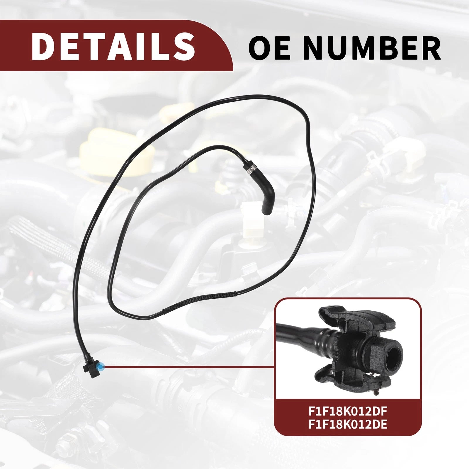 Coolant Overflow Bottle Hose for Ford C-Max (2015–2019) No.F1F18K012DF