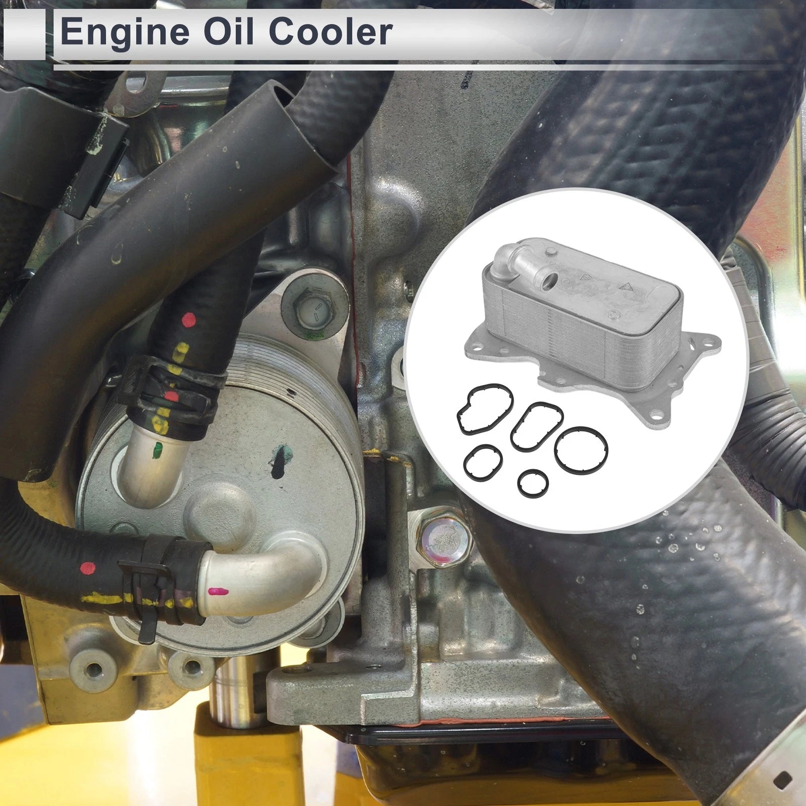 Engine Oil Cooler for Mercedes-Benz Sprinter (No. 6511800665) Set of 1