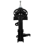 Pair Front Shocks for Honda Odyssey (2011–2012)