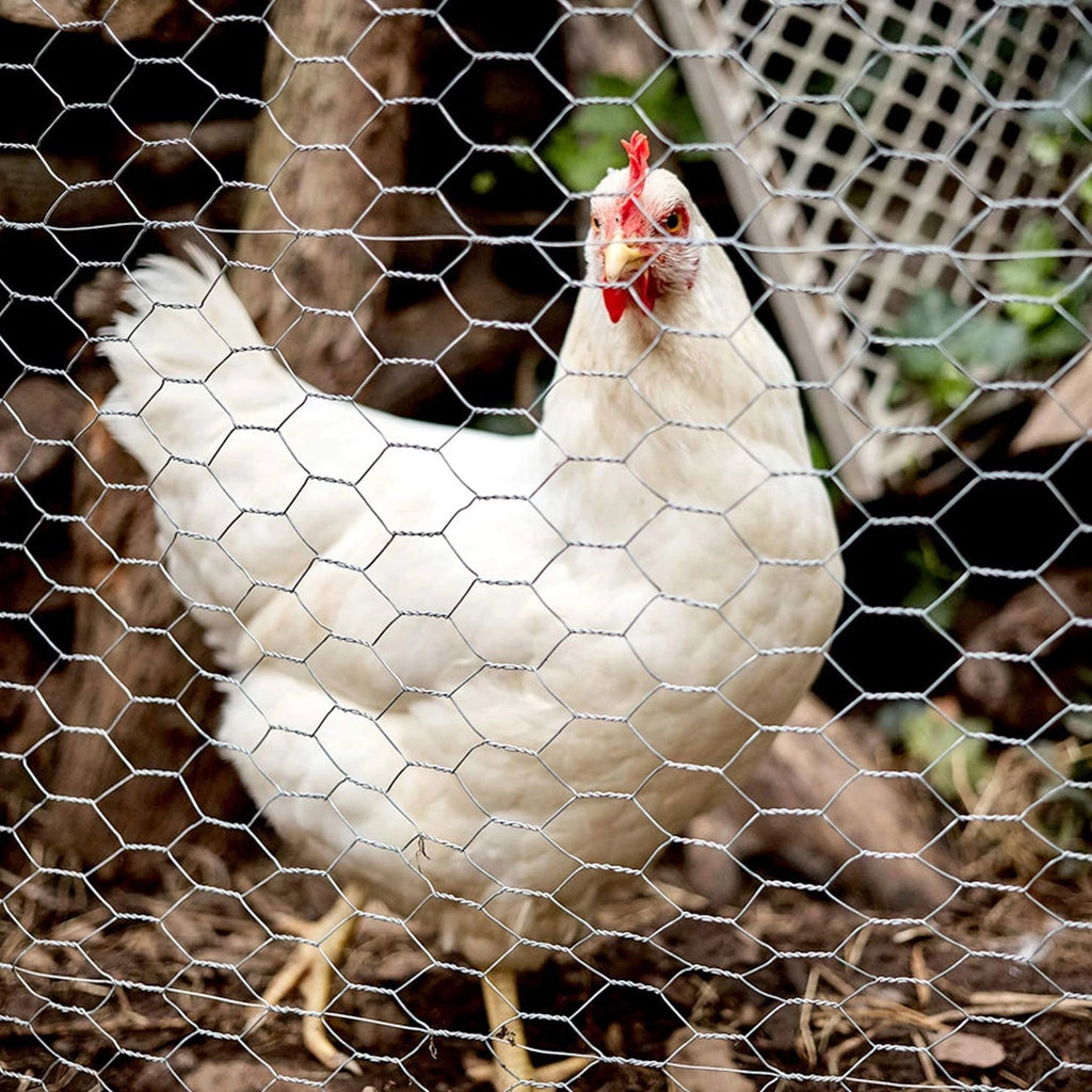 Galvanized Poultry Netting for Chicken Fencing (24"x150')