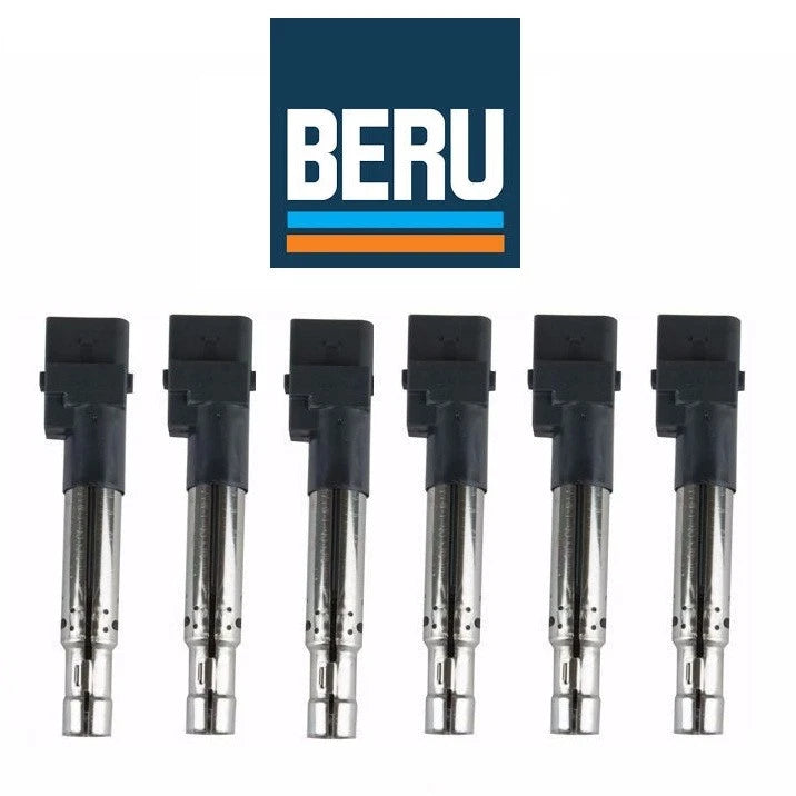 Set of 6 Direct Ignition Coils for Audi Porsche VW (955 602 101 05)