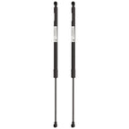 Set of 2 Liftgate Lift Supports for BMW 325 323 325i