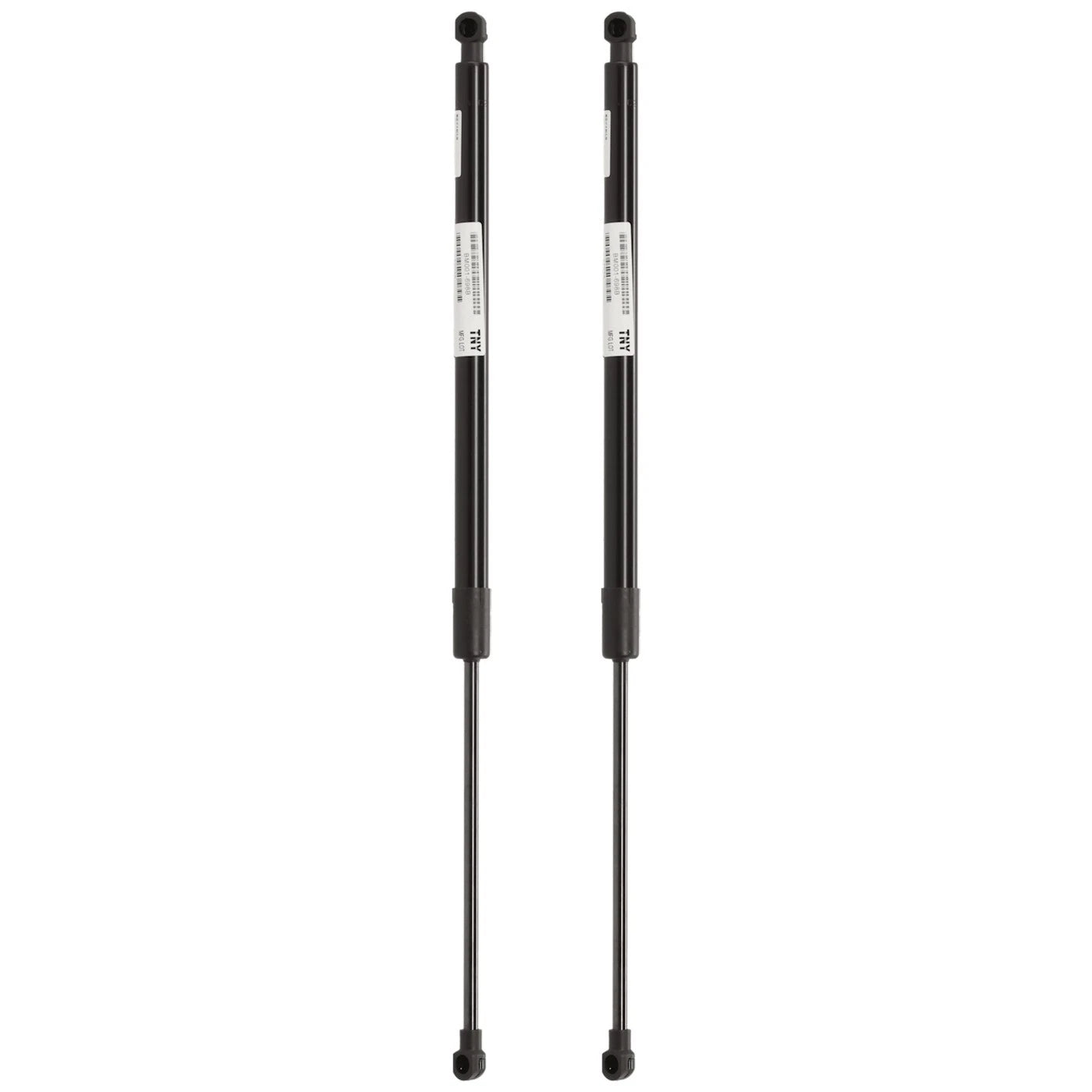 Set of 2 Liftgate Lift Supports for BMW 325 323 325i
