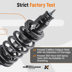 Pair Rear Struts with Coil Spring Assembly for Honda CR-V (2002-2006)