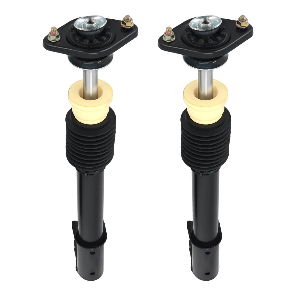 Pair Rear Struts Shocks Absorber Kit for Oldsmobile 88 Delta 98 Regency (171799)