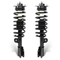 Set of 2 Front Struts Assembly w/Coil Springs for Equinox/Torrent (2005–2006)